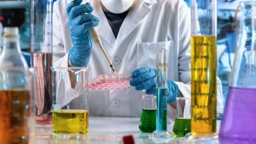 researcher working in the clinical lab with pipette and samples of cell in plate