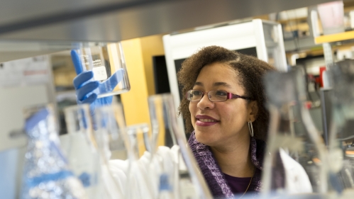 Biomedical engineer uses chemical samples in biomedical engineering lab.