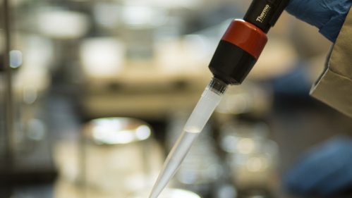 Blue latex gloved hand using a large pipette in a lab.