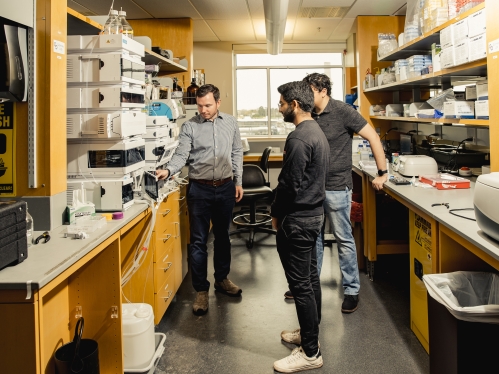 Male professor with two male graduate students discussing research in biomedical engineering laboratory