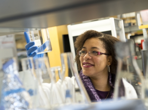 Biomedical engineer uses chemical samples in biomedical engineering lab.