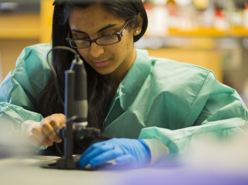 Female student wearing safety glasses, a green lab coat, and one blue latex glove as she works with a microspace.